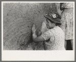 After plaster is applied with towel it is smoothed out with the hands. The women pride themselves on careful plastering, Chamisal, New Mexico