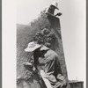 Spanish-American women plastering adobe house, Chamisal, New Mexico