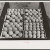 Cantaloupes, one of the main crops of Box Elder County, Utah