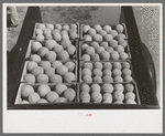 Cantaloupes, one of the main crops of Box Elder County, Utah