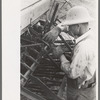 Mormon farmer working on FSA (Farm Security Administration) cooperative drill, Oneida County, Idaho. While the members of the cooperative live in Snowville, Utah, some of them farm in Oneida County, Idaho