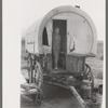 Camp of a dry farmer in Oneida County, Idaho. He lives in Snowville, Utah, camping out during the busy season