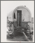 Camp of a dry farmer in Oneida County, Idaho. He lives in Snowville, Utah, camping out during the busy season