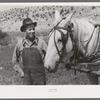 Mormon farmer, Box Elder County, Utah