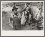 Mormon farmer, Box Elder County, Utah