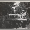 Hauling crates of peaches from the orchard to the shipping, Delta County, Colorado