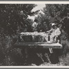 Hauling crates of peaches from the orchard to the shipping, Delta County, Colorado