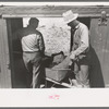 Loading gold ore concentrate into freight cars of narrow gauge railroad, Ouray, Colorado