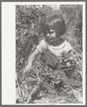 Child of farm worker who lives at the FSA (Farm Security Administration) labor camp, Caldwell, Idaho