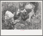 Children of farm workers living at the FSA (Farm Security Administration) labor camp, Caldwell, Idaho