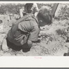 Son of the farm worker at the FSA (Farm Security Administration) Labor Camp, Caldwell, Idaho