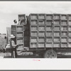 Packing crates of peas onto truck. They will be taken into town and packed for shipment. Contractor's pea pickers camp, Nampa, Idaho