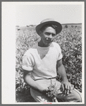 Pea picker who travels with labor contractor, Nampa, Idaho