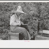 Checker at labor contractor's pea picking outfit, Nampa, Idaho