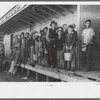 High school boys and girls get in trucks to go to pea fields, Nampa, Idaho