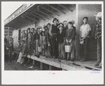 High school boys and girls get in trucks to go to pea fields, Nampa, Idaho