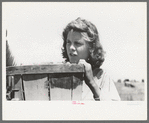 Pea picker, Nampa, Idaho