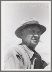 Checker, labor contractor's pea pickers crew, Nampa, Idaho