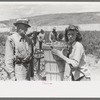 Checking in hamper of peas. Labor contractor's crew, Nampa, Idaho