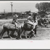 The pony ride concession on Fourth of July at Vale, Oregon