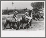 The pony ride concession on Fourth of July at Vale, Oregon