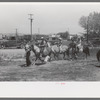 The pony ride concession on the Fourth of July at Vale, Oregon