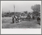 The pony ride concession on the Fourth of July at Vale, Oregon