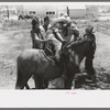 The pony ride concession on the Fourth of July at Vale, Oregon