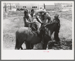 The pony ride concession on the Fourth of July at Vale, Oregon