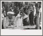 Spectators watch the baseball game on the Fourth of July at Vale, Oregon