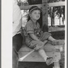 Spectators watch the baseball game on the fourth of July at Vale, Oregon