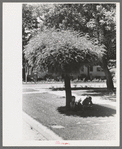 Boys read storybooks in the shade, Caldwell, Idaho