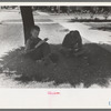 Boys read storybooks in the shade, Caldwell, Idaho