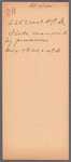228 West 37th Street