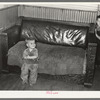 Child of Frank Weeks, WPA (Works Progress Administration) worker. Near Williston, North Dakota