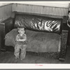 Child of Frank Weeks, WPA (Works Progress Administration) worker. Near Williston, North Dakota