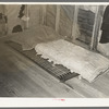 Bed in farm house, Williams County, North Dakota