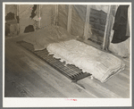 Bed in farm house, Williams County, North Dakota