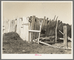 Barn on E. Gorder's farm, Williams County, North Dakota