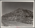 Pile of pulpwood for papermill at International Falls, Minnesota