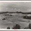 Landscape near Black River Falls, Wisconsin