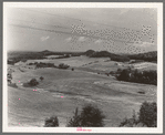 Landscape near Black River Falls, Wisconsin