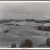 Landscape near Black River Falls, Wisconsin