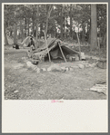 Tent of Indian blueberry picker, Littlefork, Minnesota