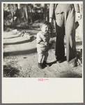 Indian baby, son of blueberry picker, Littlefork, Minnesota