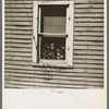 Detail of house in Ericsburg, Minnesota