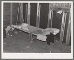 Interior of sugar beet worker's shack near Chaska, Minnesota