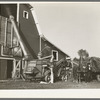 Threshing alfalfa for seed near Littlefork, Minnesota