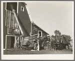 Threshing alfalfa for seed near Littlefork, Minnesota