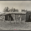 Barn on cut-over farm, Littlefork, Minnesota